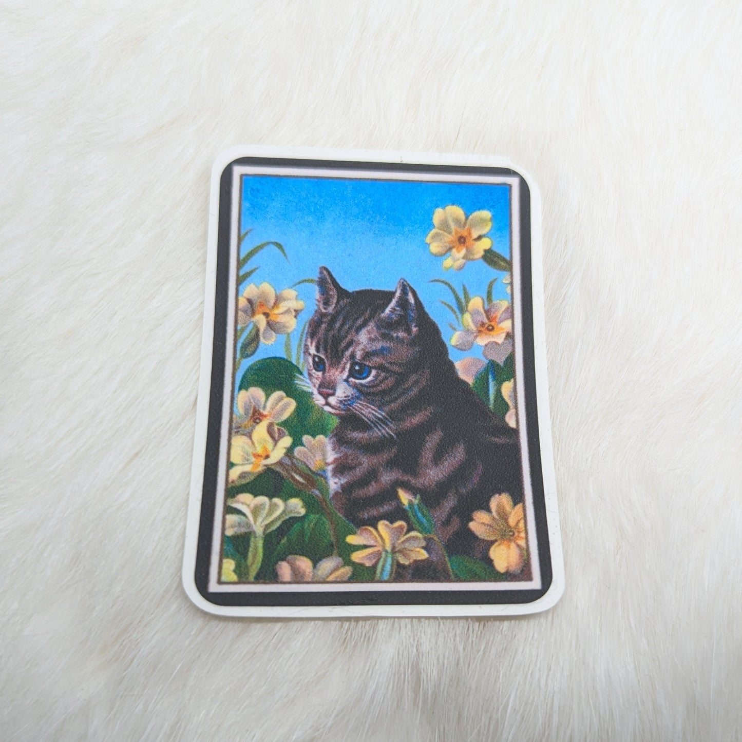 Kitten Sticker