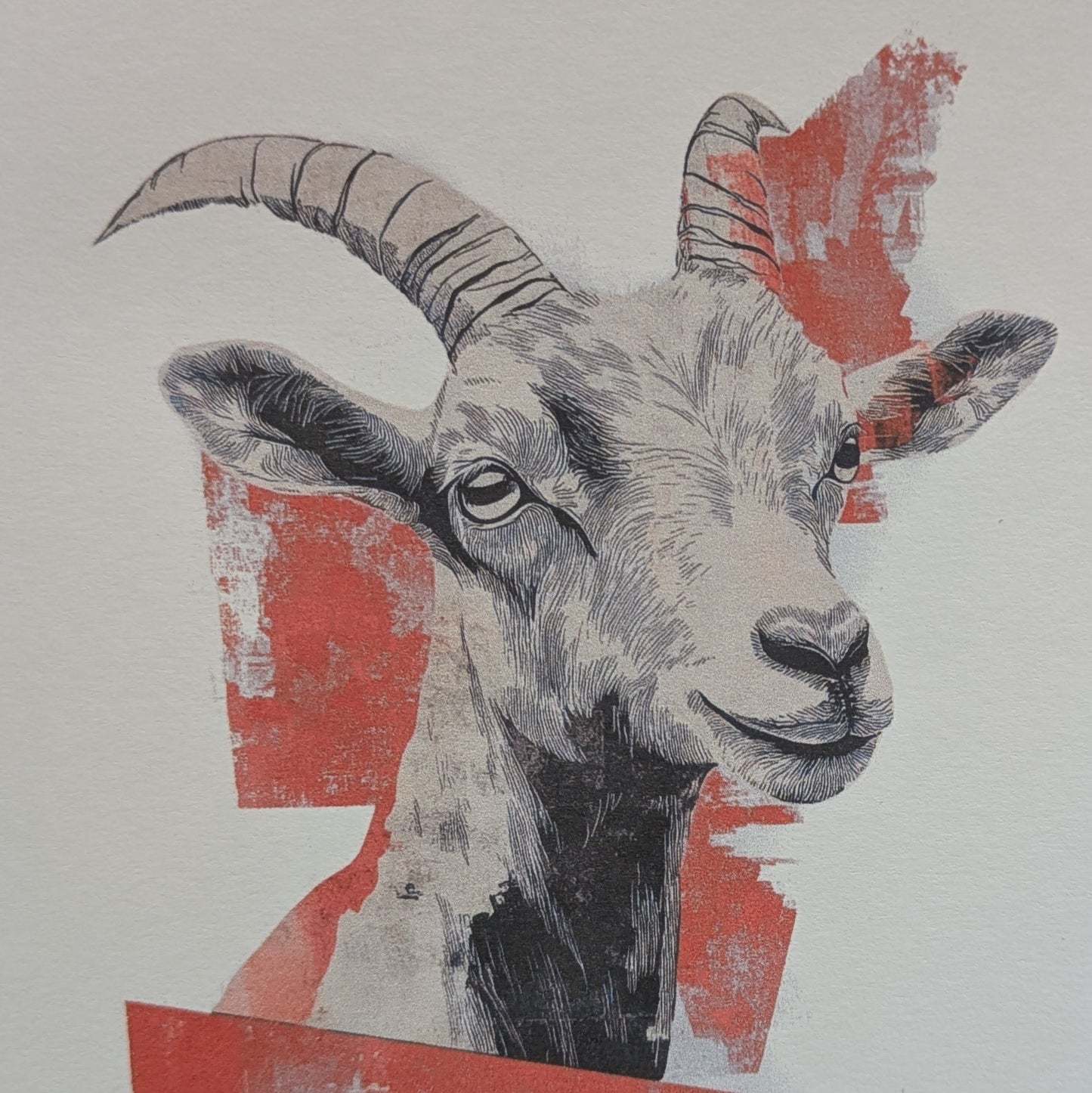 Baaad Choices Goat Greeting Card