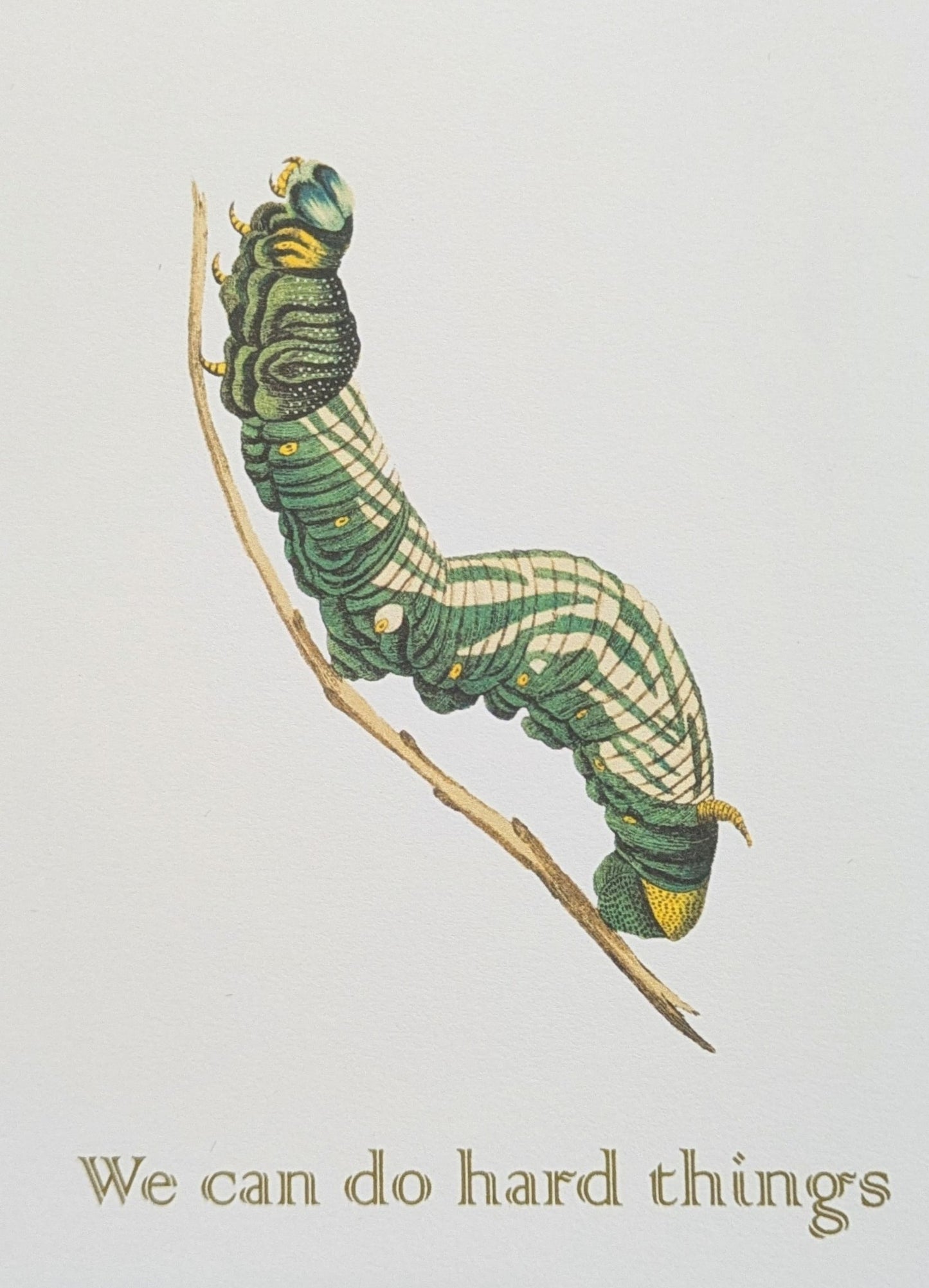 We Can Do Hard Things Greeting Card Caterpillar