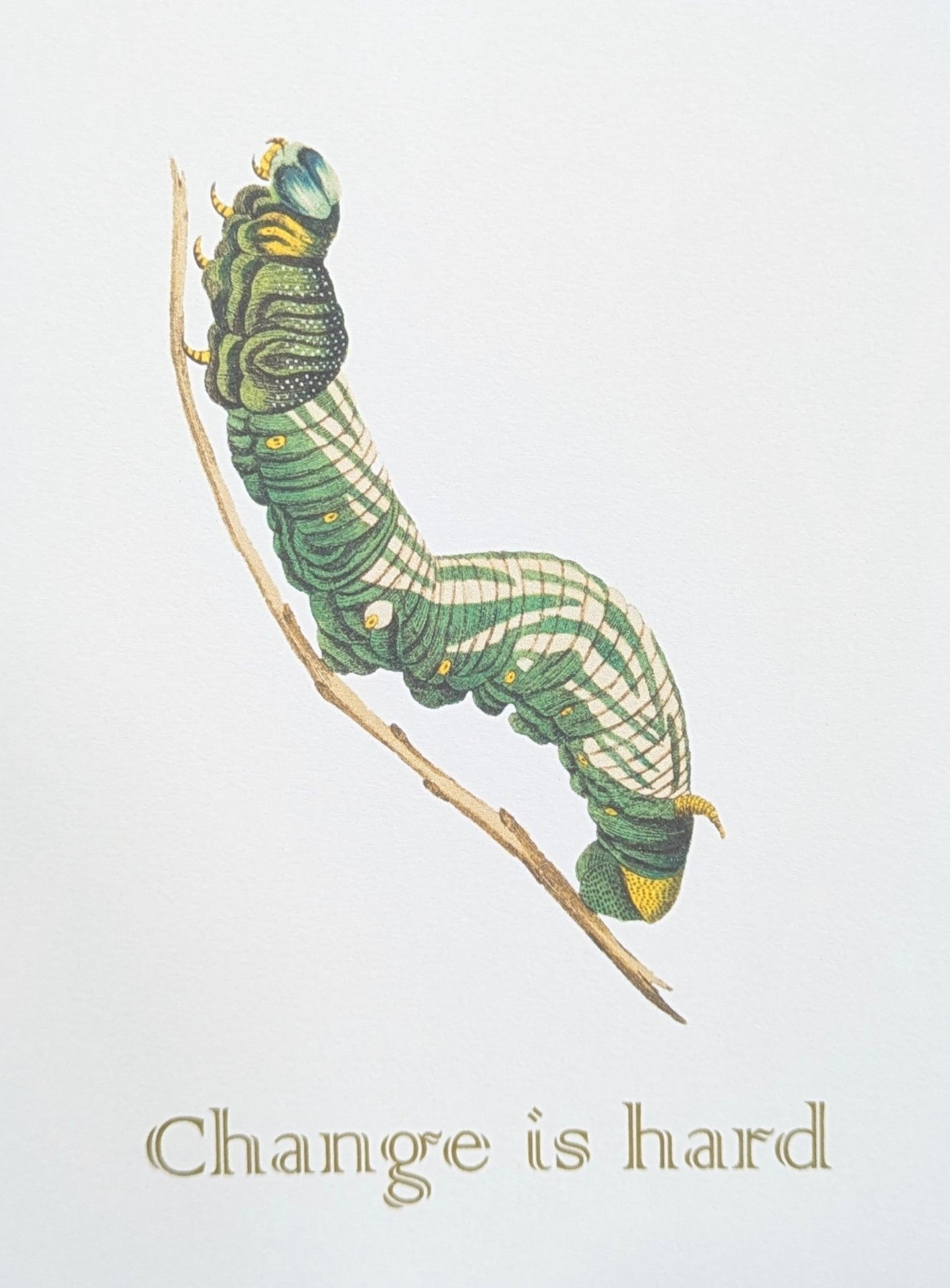 Change Is Hard Greeting Card Caterpillar