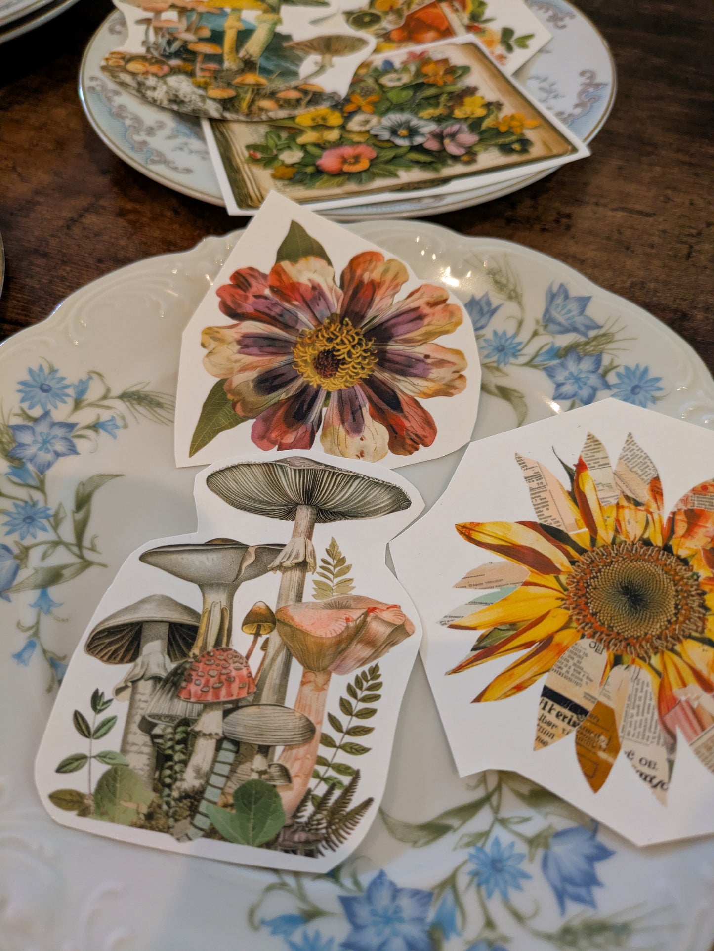 Make it Weird PLATE Edition 4/26