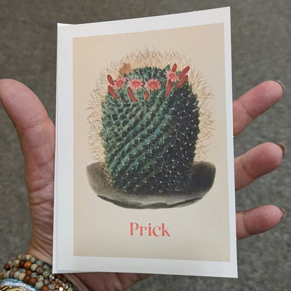 Prick Cactus Greeting Card Funny Card