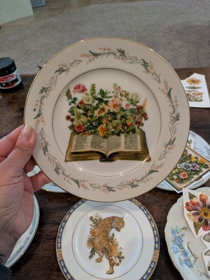 Make it Weird PLATE Edition 4/26