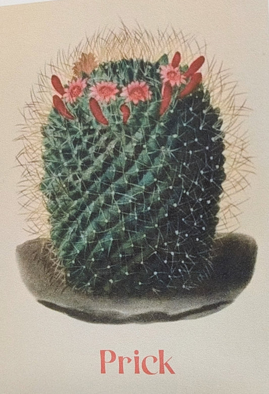 Prick Cactus Greeting Card Funny Card