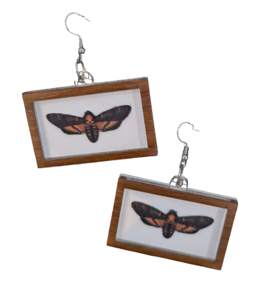 Framed Death Moth Halloween Earrings Acrylic Layered